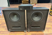 Load image into Gallery viewer, Meyer Sound 501 Package: 2x 18-inch Subs + 500 Amplifier