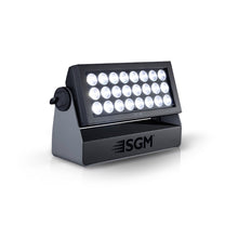 Load image into Gallery viewer, SGM P·6 RGBW Wash / Strobe / Pixel Light