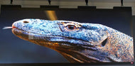 MSC CON MY5pro Outdoor LED Panel – 1.95mm, 7680Hz