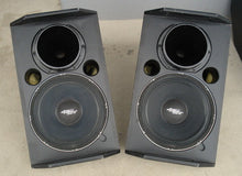 Load image into Gallery viewer, Apogee Sound AE-6B NC Stage Monitor Wedge, Bi-amp 12" Speaker
