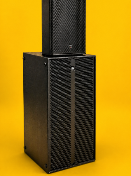 CODA Audio AP25 Compact, Versatile Point Source Loudspeaker