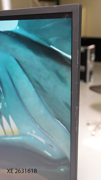 Panasonic TH-65EQ2W 65-inch 4K Professional Display, EQ2 Series