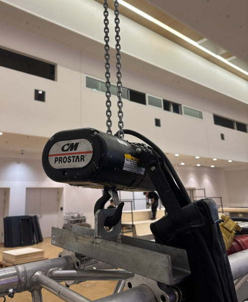 CM Prostar 250/2 D8+ Chain Hoist, 250 kg, 12 m Lift