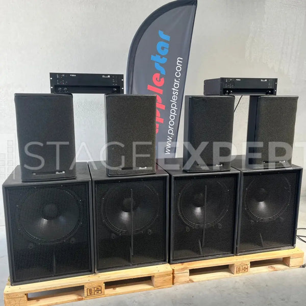 d&b Audiotechnik Ci7-SUB/C6 with P1200A System Bundle
