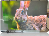MR5pro P1.56 Indoor LED Panel, GOB, 500 x 500 mm