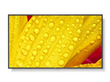 Load image into Gallery viewer, NEC MultiSync ME501 IR 50-inch Touch Display, 20‑point IR
