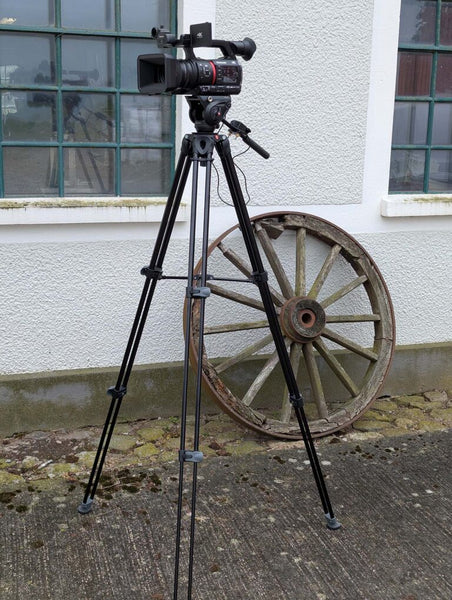 Panasonic AG-CX350 Camcorder Kit with Tripod, Remote & Case