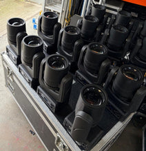 Load image into Gallery viewer, Robe Spikie
