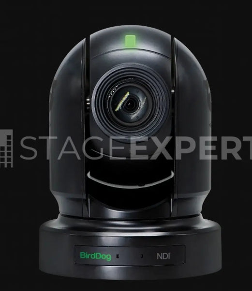 BirdDog Eyes P200 HD PTZ Camera with Protective Case, 30x Zoom