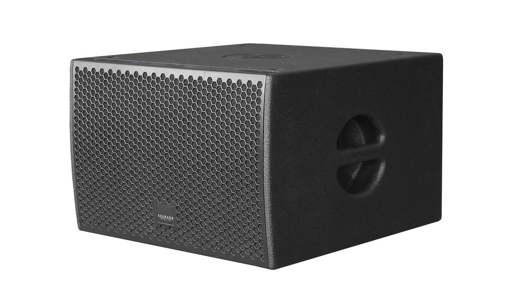 SEEBURG Acoustic Line G Sub 1001 dp+ Active 10-inch Subwoofer